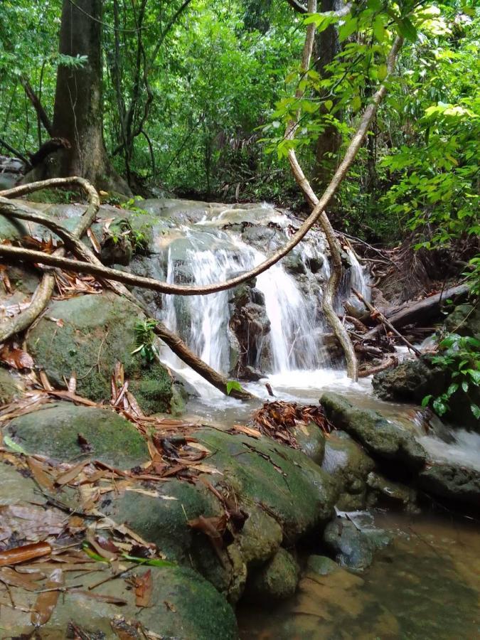 Khao Sok Inn Hostel Khao Sok National Park Εξωτερικό φωτογραφία