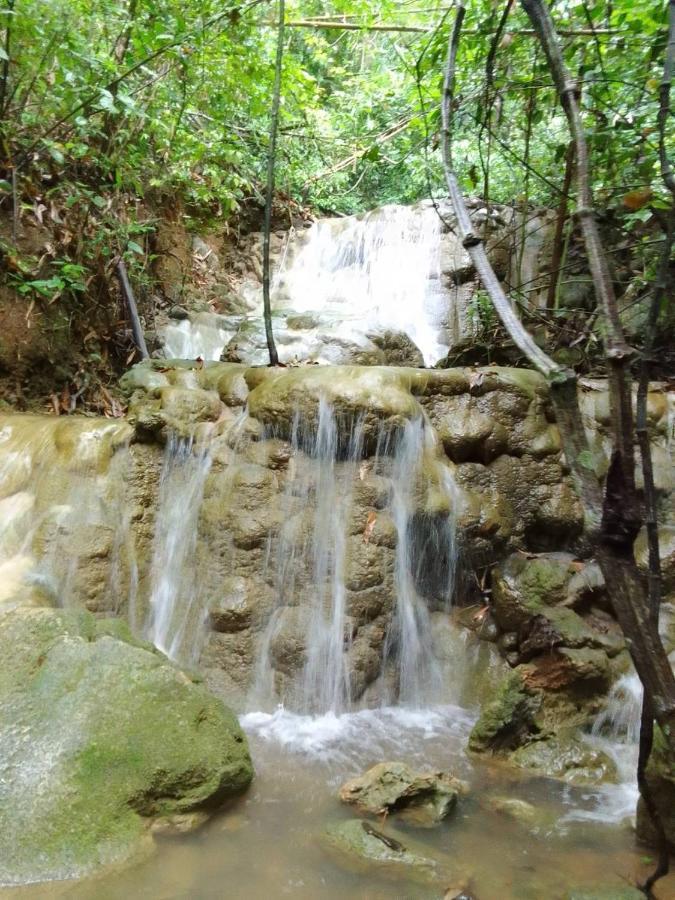 Khao Sok Inn Hostel Khao Sok National Park Εξωτερικό φωτογραφία