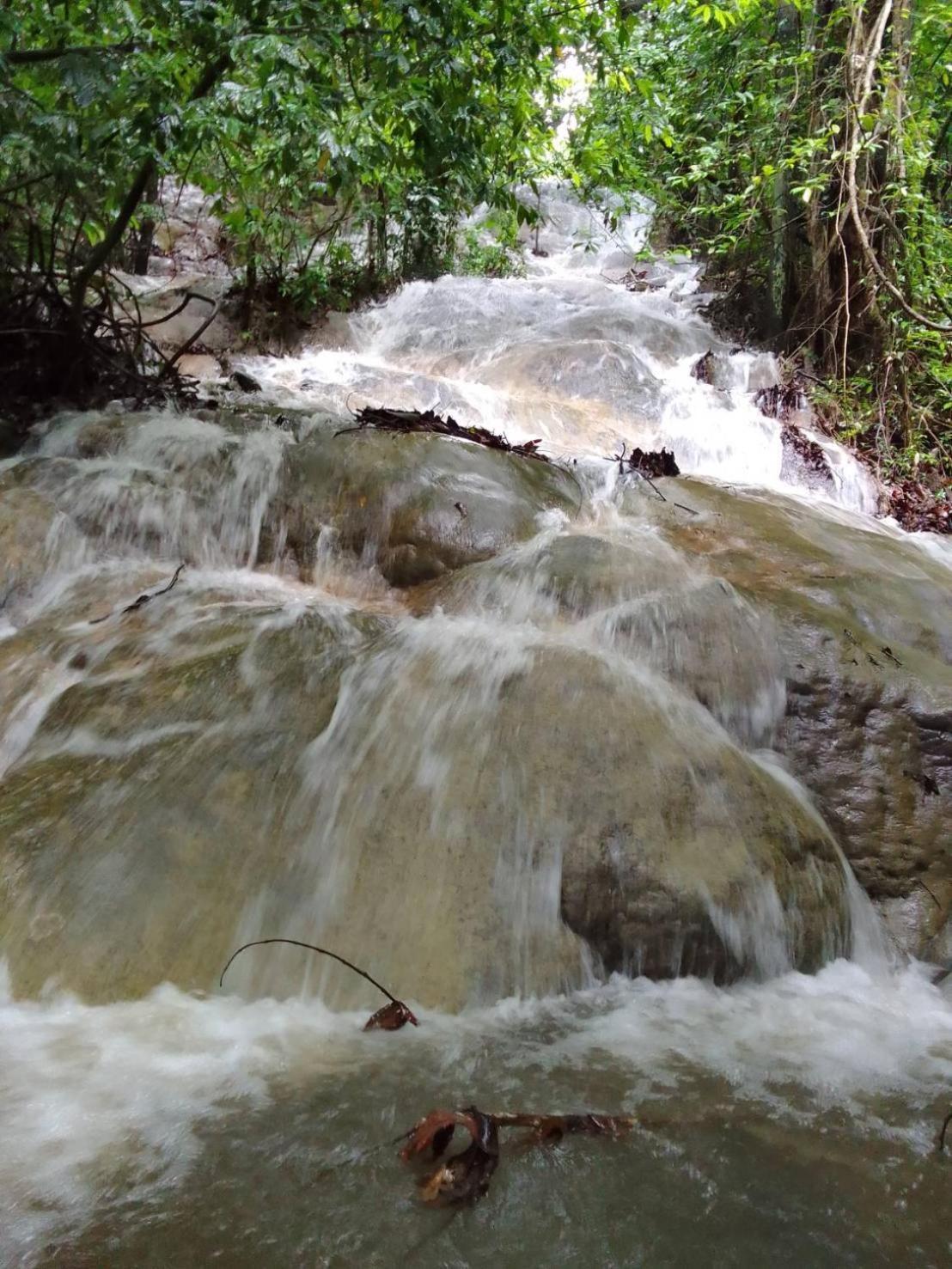 Khao Sok Inn Hostel Khao Sok National Park Εξωτερικό φωτογραφία